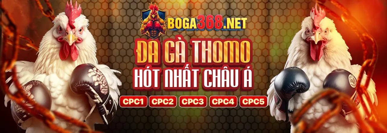 Sân đá gà Thomo sôi động, hướng dẫn luật đá gà Thomo chi tiết tại gacam67 Thomo 2026