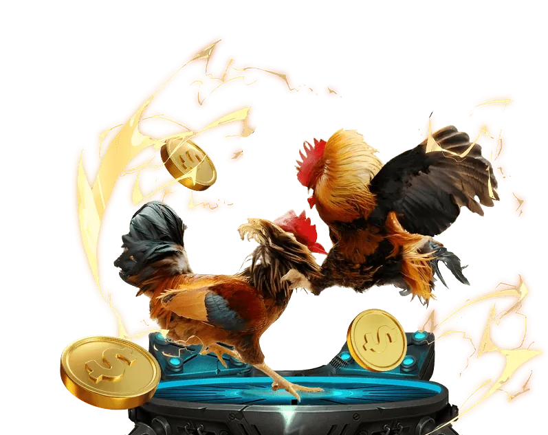 Mẹo cá cược đá gà Thomo thông minh